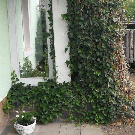 Appartement Eifel Im Haus Sybille 克尔贝格 外观 照片