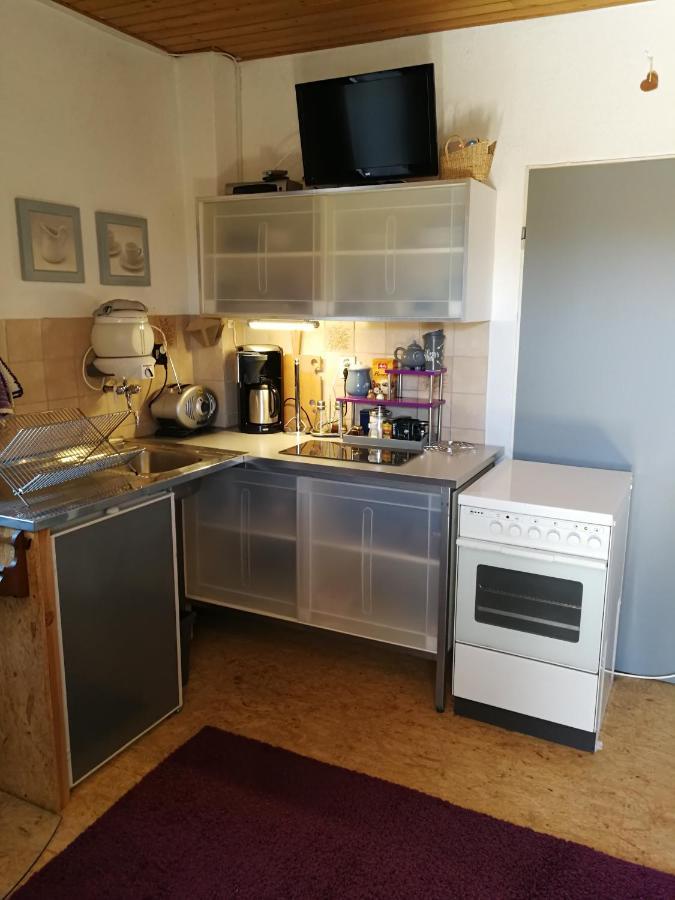 Appartement Eifel Im Haus Sybille 克尔贝格 外观 照片