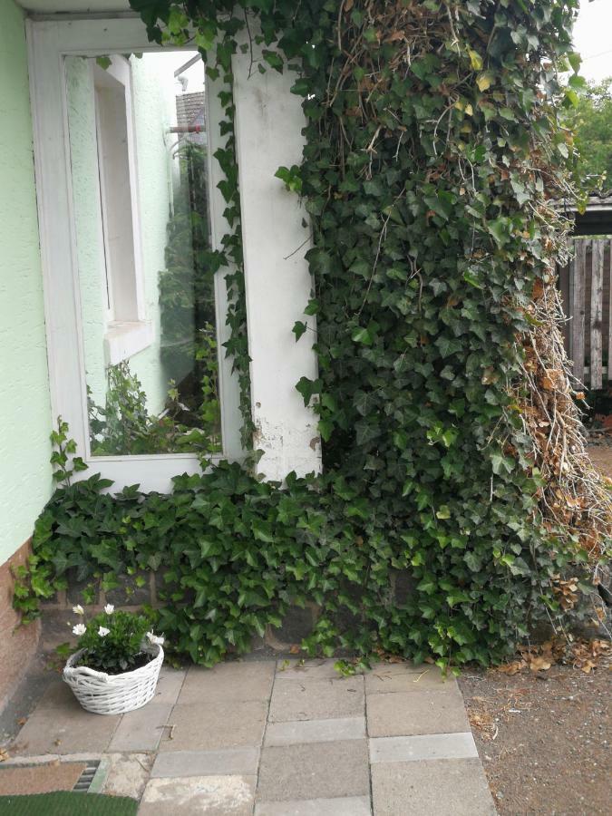Appartement Eifel Im Haus Sybille 克尔贝格 外观 照片